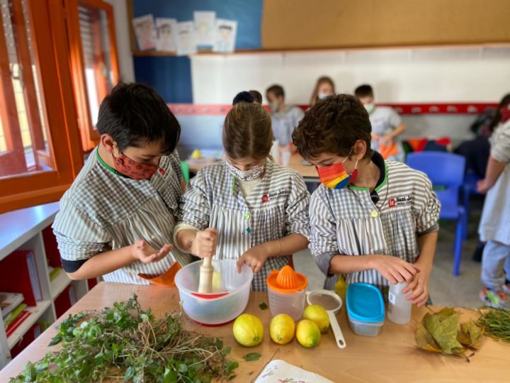 Experimentem amb l’extracció de clorofila